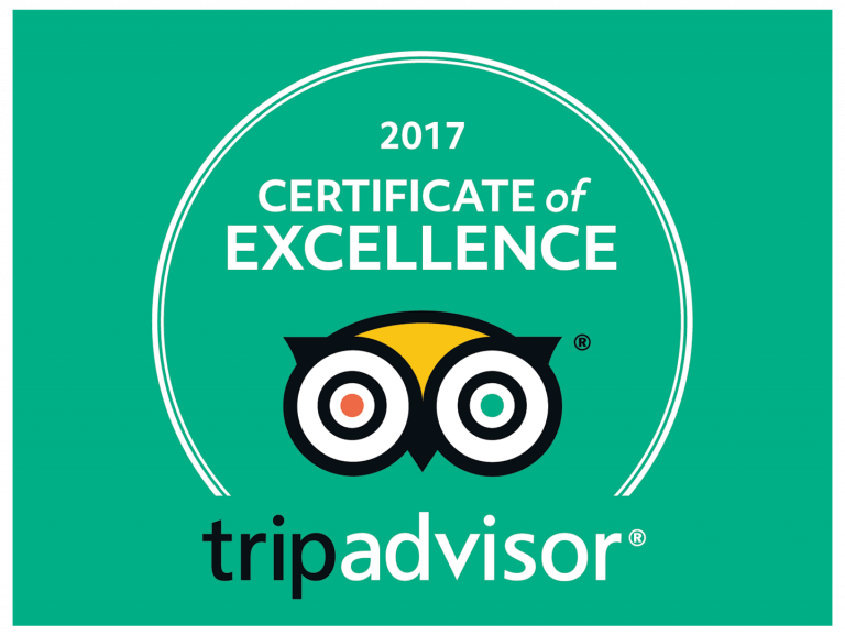 Certificate of excellence 2017