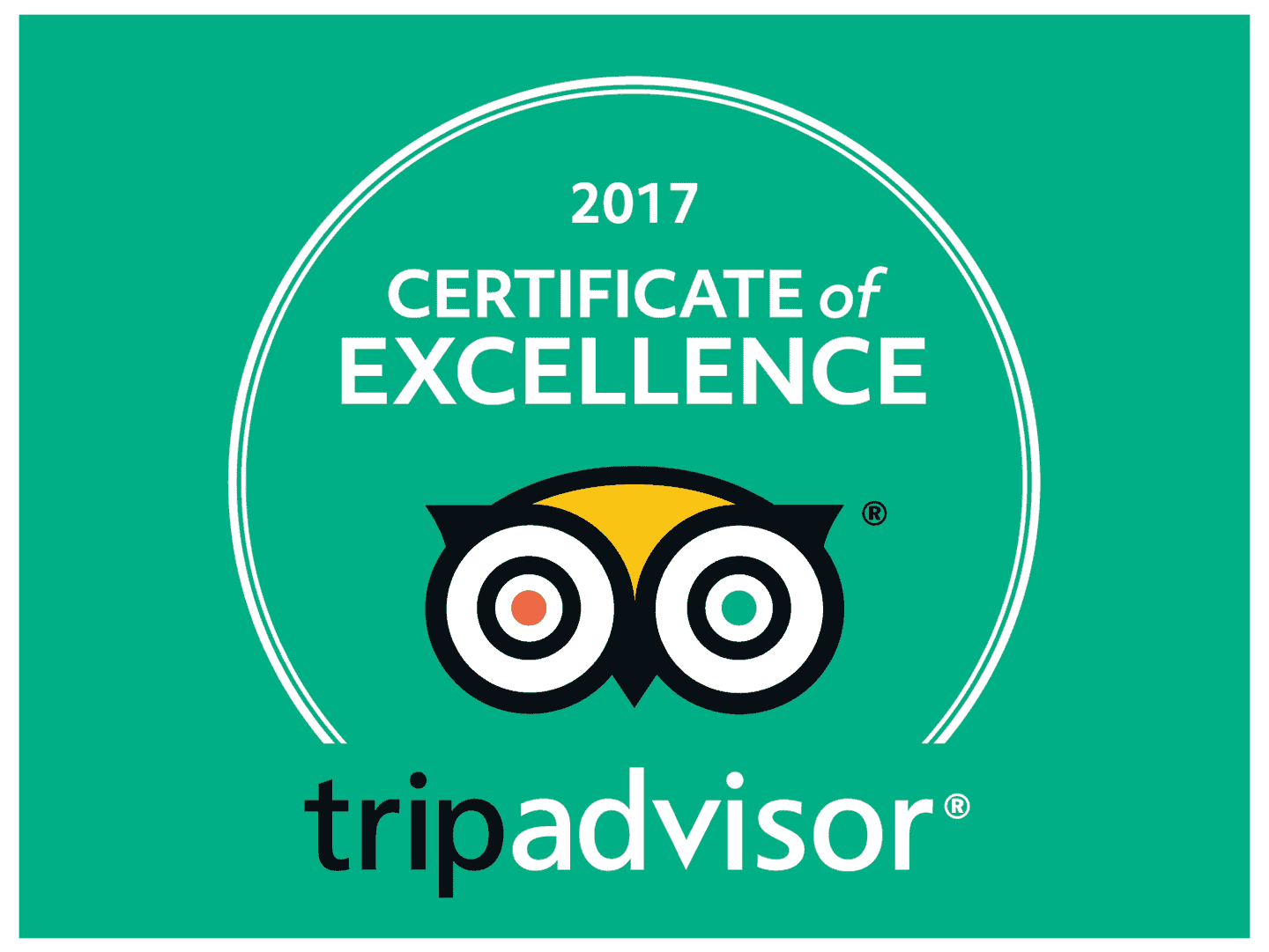 Certificate of excellence 2017