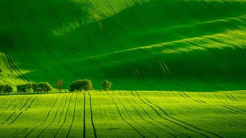 Rolling hills of South Moravia